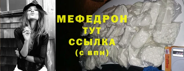 шишки Ельня