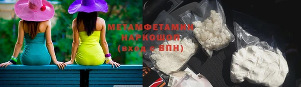 сатива Пересвет