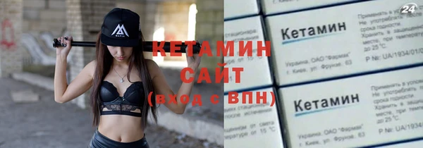 сатива Пересвет