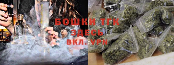 мдпв Елизово