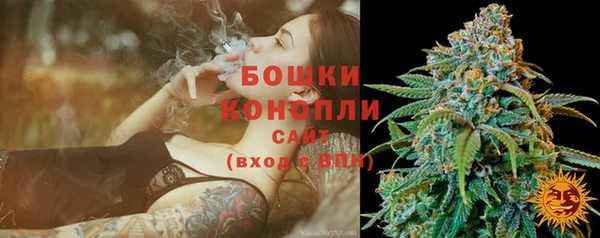 сатива Пересвет